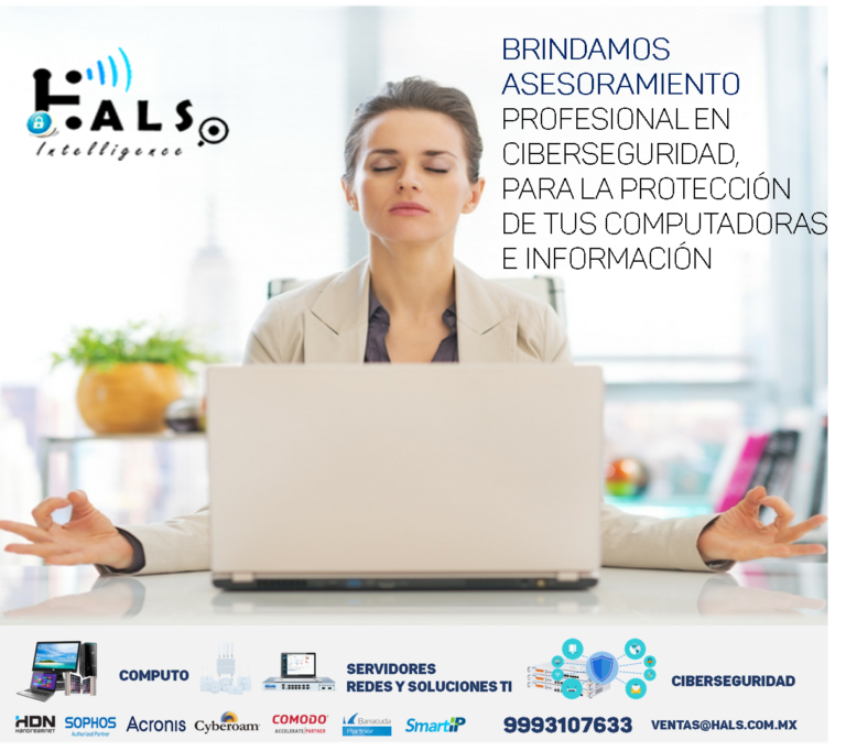 Hals Intelligence especialistas en Ciberseguridad Empresarial