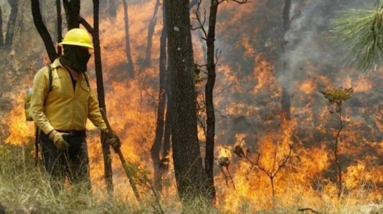 Cancelan temporada de quema agrícola