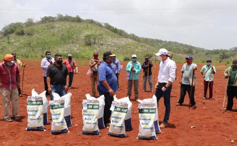 Entregan maíz y fertilizante a campesinos de Yucatán En esta ocasión, las semillas de maíz y los fertilizantes llegaron a 310 productores