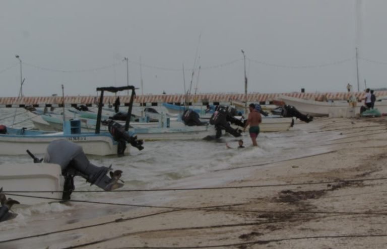 Pagarían a $30 el pulpo