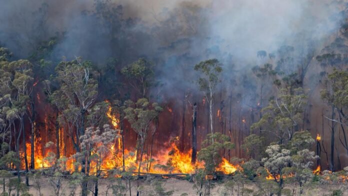 20191231-637133870275658018_20191231111000_4_7_2676744049-kUSF-U474086979261taH-992x558@LaVanguardia-Web