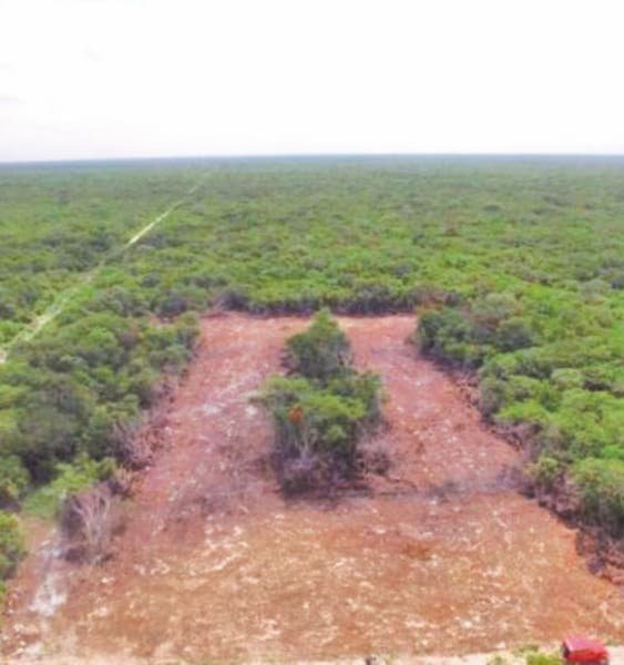 Advierten de daños al patrimonio al comprar lotes de inversión