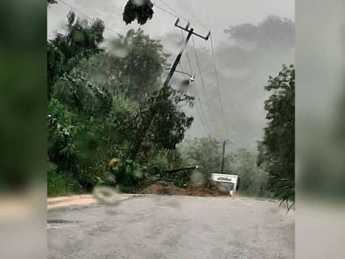 d73c9a1249f7406eb89e82a00b78b41b-focus-0-0-732-549