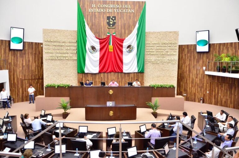 Borrador automático