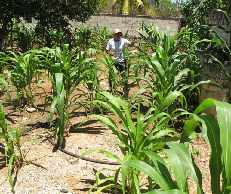 Así será el clima según las cabañuelas para este 2021