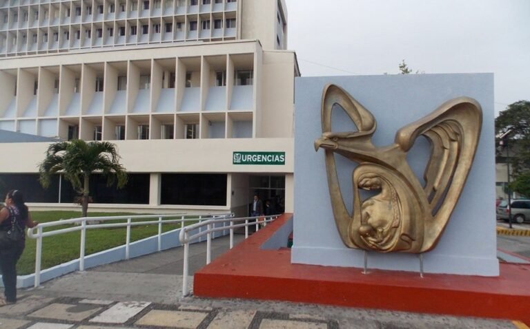 ¿Tienes pensión del IMSS? Con este simulador puedes saber cuánto llevas ahorrado.