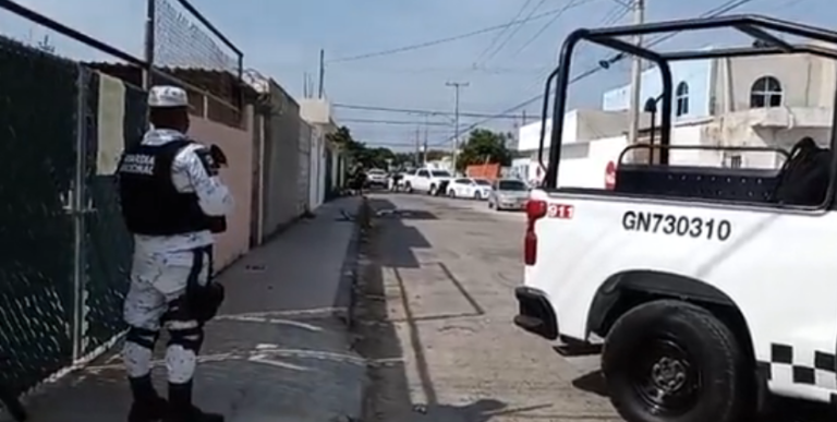 Operativo anti drogas en Vergel