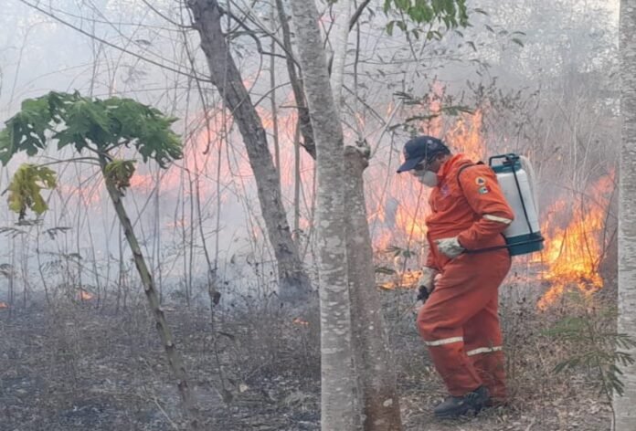 incendios