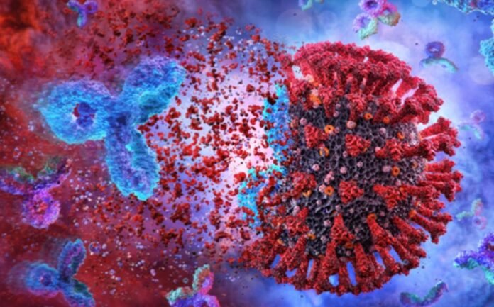 anticuerpos-infeccion-covid-mantienen-ano