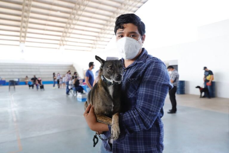 Ayuntamiento de Mérida refrenda su compromiso de escuchar todas las voces en beneficio de la fauna