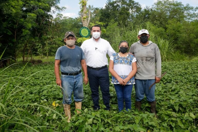 Mérida se suma al proyecto “Desafíos Cero Neto COP26” para combatir el cambio climático