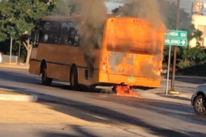 Diseno-sin-titulo-2022-01-18T101837.249