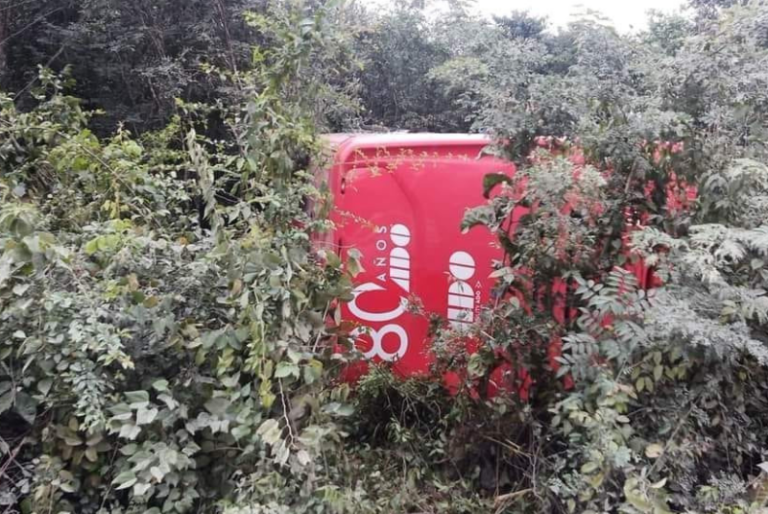 Confirman ocho muertos tras accidente de autobús ADO