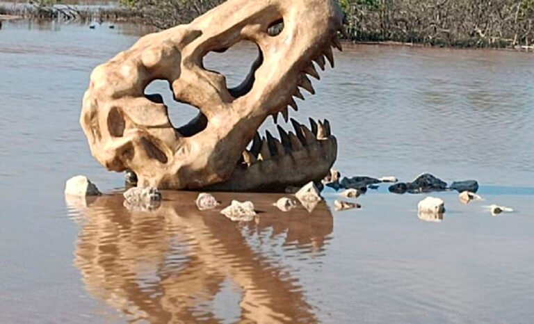 Colocan fósil de dinosaurio en la glorieta de Chicxulub Puerto