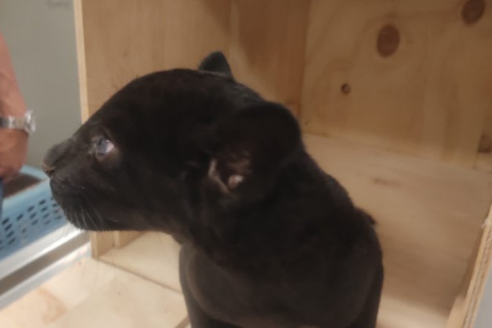 Diseño sin título - 2022-04-11T155514.649