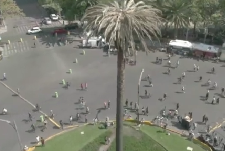 Con música y bailes despiden a la icónica palmera de la Glorieta de la Palma