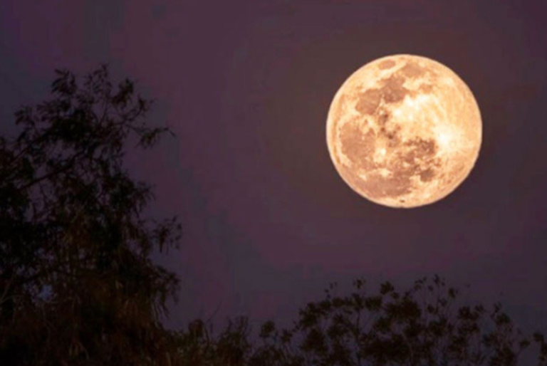 Superluna de Ciervo: ¿Cuándo se podrá ver en Yucatán y por qué se llama así?
