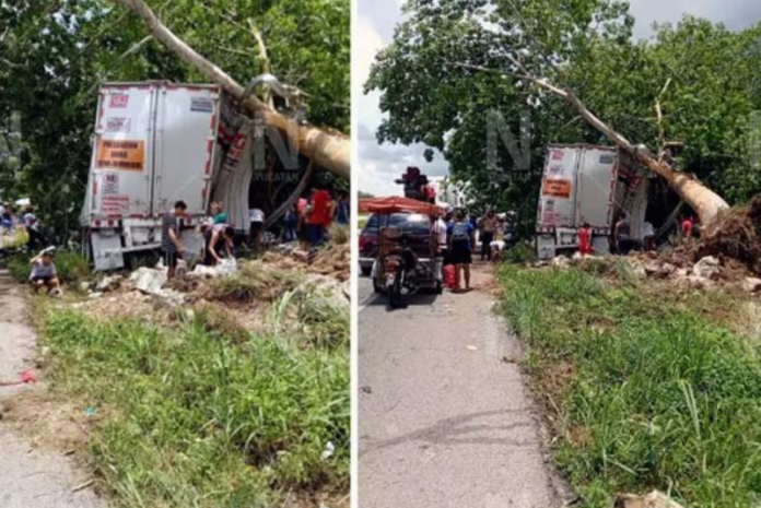 Diseño sin título - 2022-07-26T142349.718