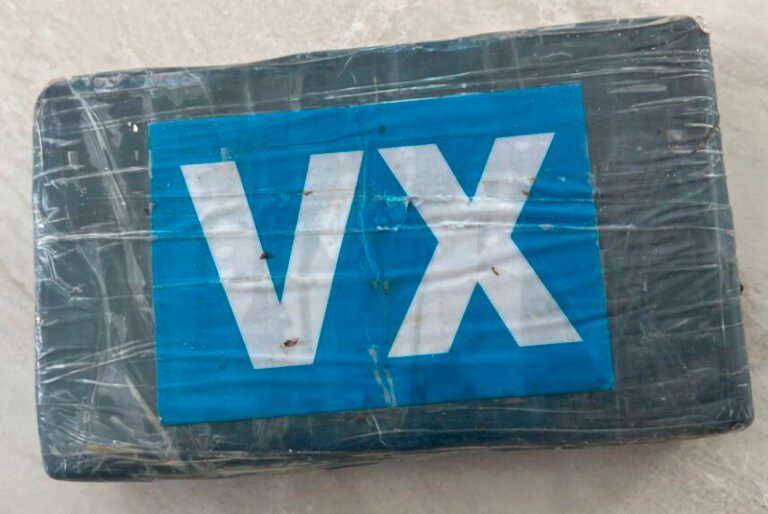 Hallan ladrillo de cocaína en playa de Tulum