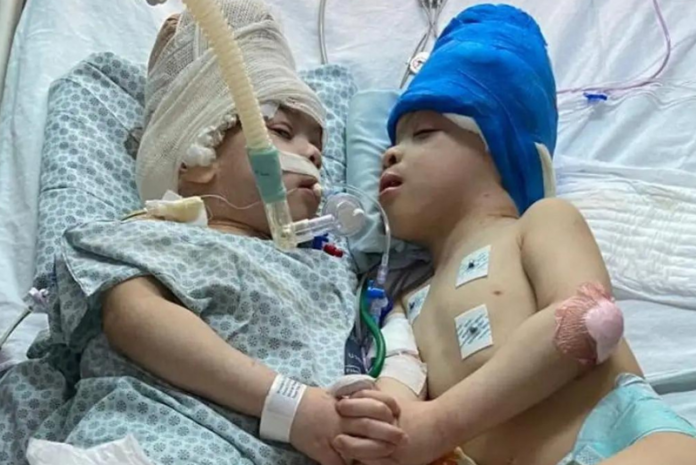 Diseño sin título - 2022-08-02T084353.332