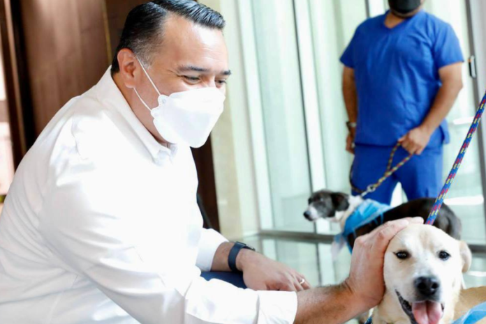 Diseño sin título - 2022-08-04T195120.844