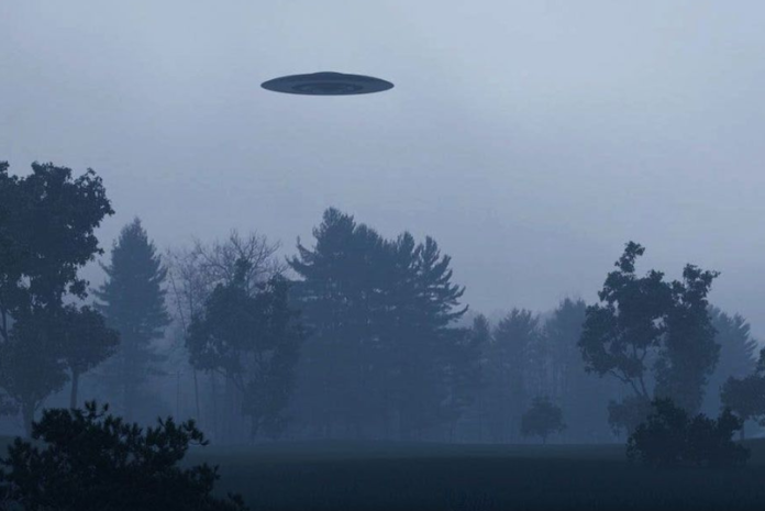 Diseño sin título - 2022-08-18T083330.505