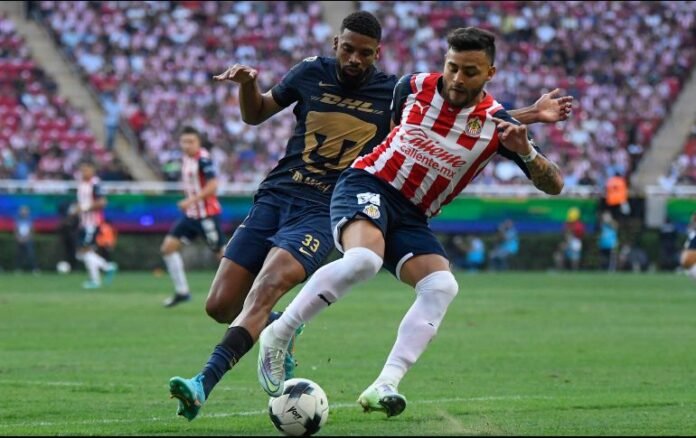 imago-1208420_crop1661530919274.jpg_1970638775