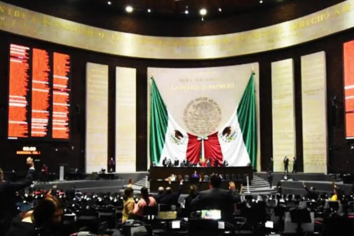 cámara de diputados