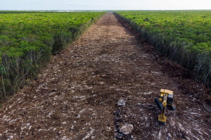 319881943_10158675591781755_3360311624027846452_n