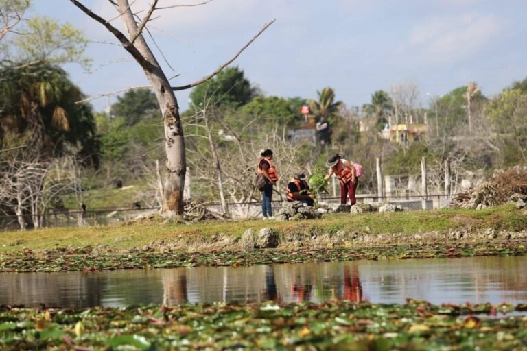 Acuaparque rehabilitado para el disfrute de las familias de Mérida: Renán Barrera