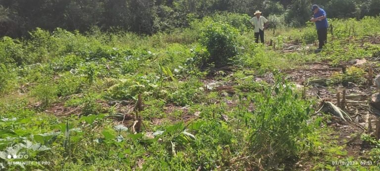Adulto mayor acusa intento de despojo de tierras ejidales en Dzitbalché