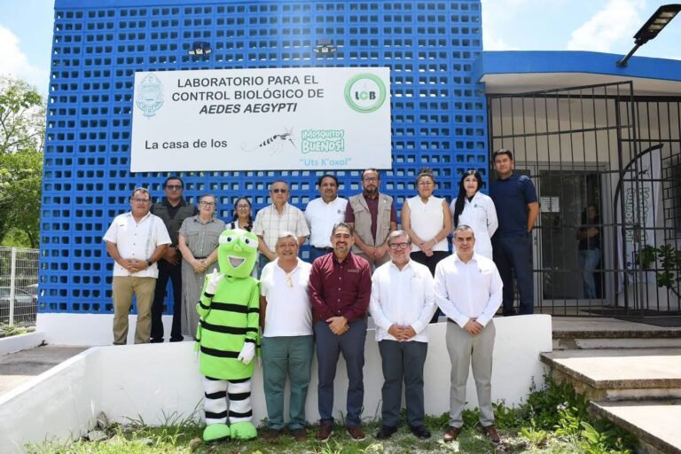 Estrategia desarrollada en Yucatán despierta interés de Campeche en la lucha contra el dengue