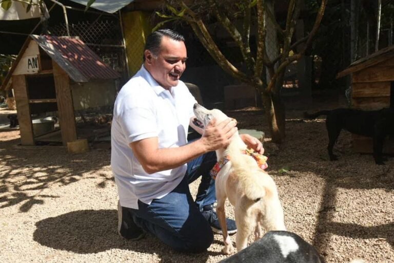 Renán Barrera: Fortaleciendo el Bienestar Animal y la Cooperación con Refugios