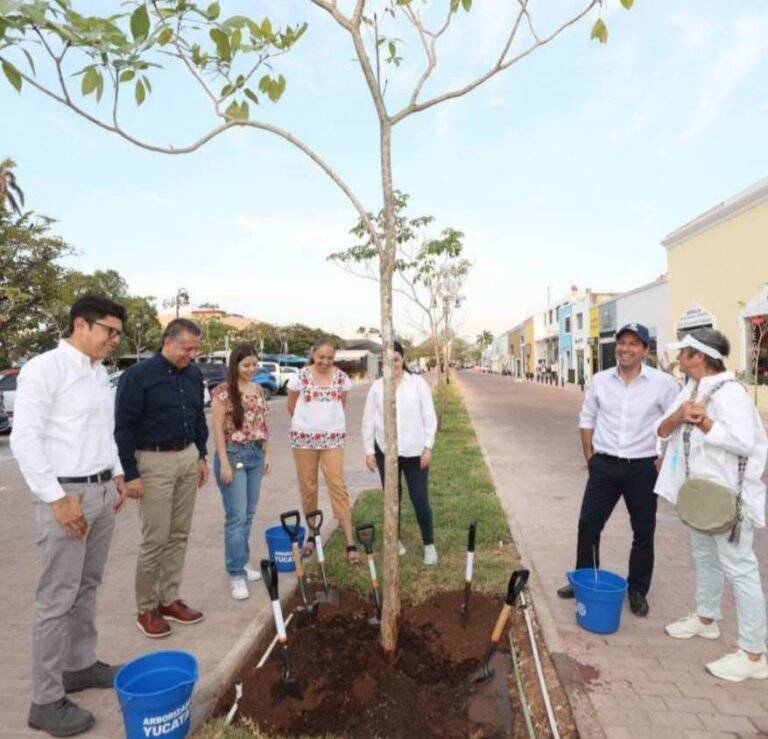 Yucatán llega al millón de árboles plantados con el impulso del gobernador Mauricio Vila Dosal