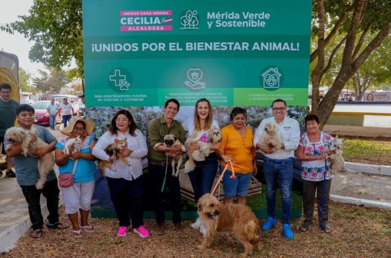 Bienestar Animal de la mano de los meridanos: Cecilia Patrón
