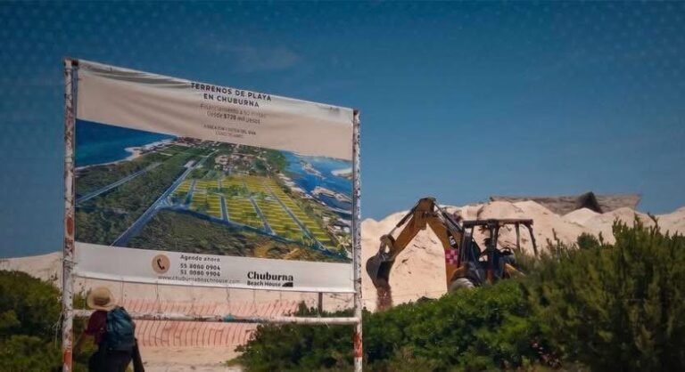 Ambientalistas solicitan revisar desarrollo en Chuburná Puerto por presunto impacto ecológico