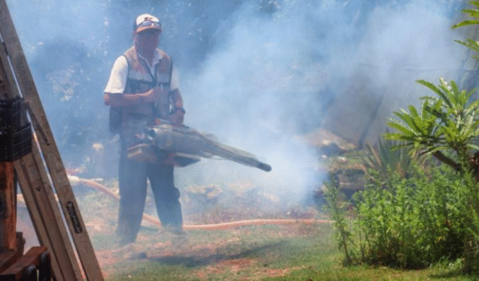 Captura de pantalla 2025-07-21 181631