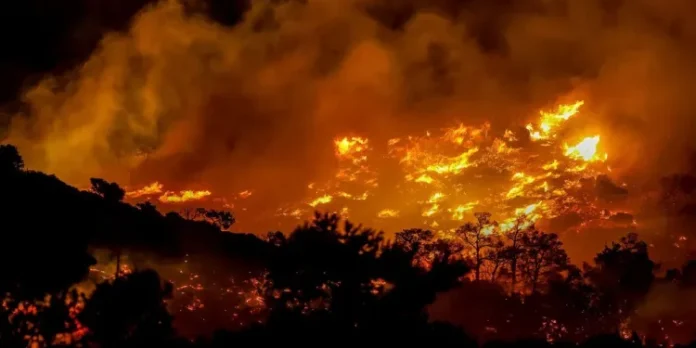 incendio-forestal-grecia-calor-extremo-3