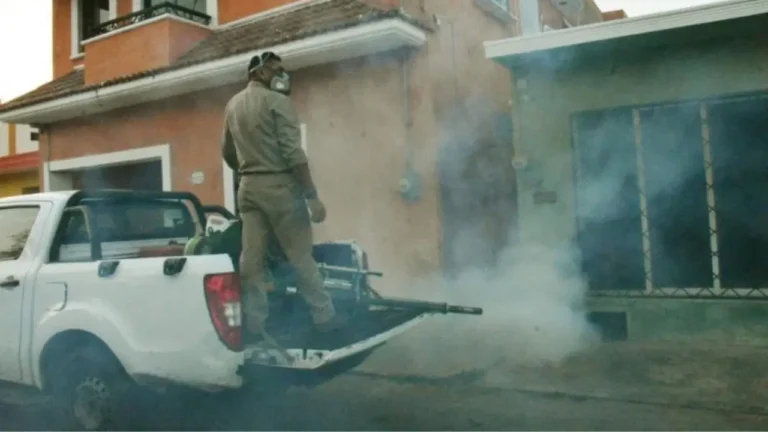 Yucatán logra una reducción del 43.6% en enfermedades transmitidas por mosquitos