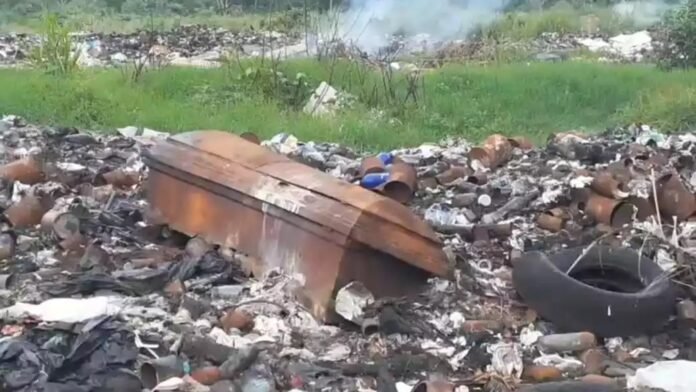 544912669_1210140164472981_4588228725845468026_n