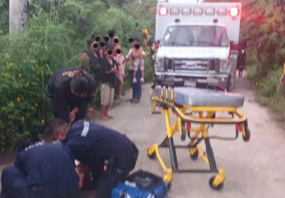 Captura de pantalla 2025-09-25 203622