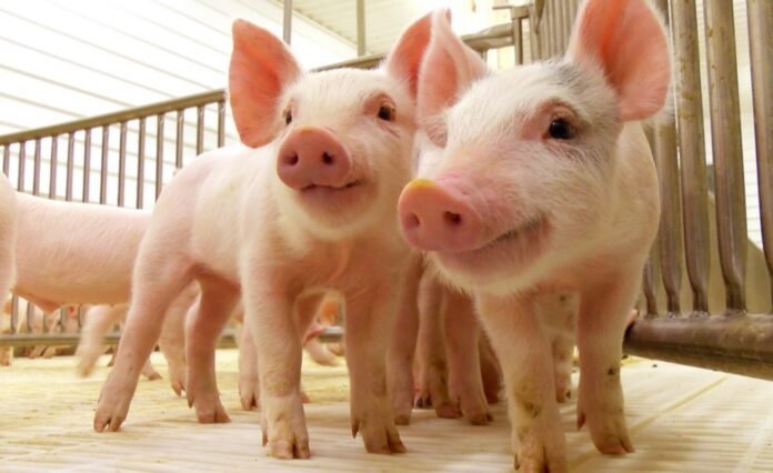 a4dd715d-50c0-403f-a836-b03ce02e8660