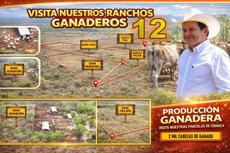 Señalan a Joaquín Díaz Mena como propietario de 12 ranchos en Yucatán